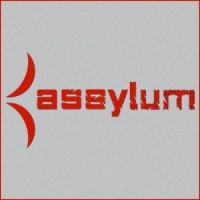 Assylum